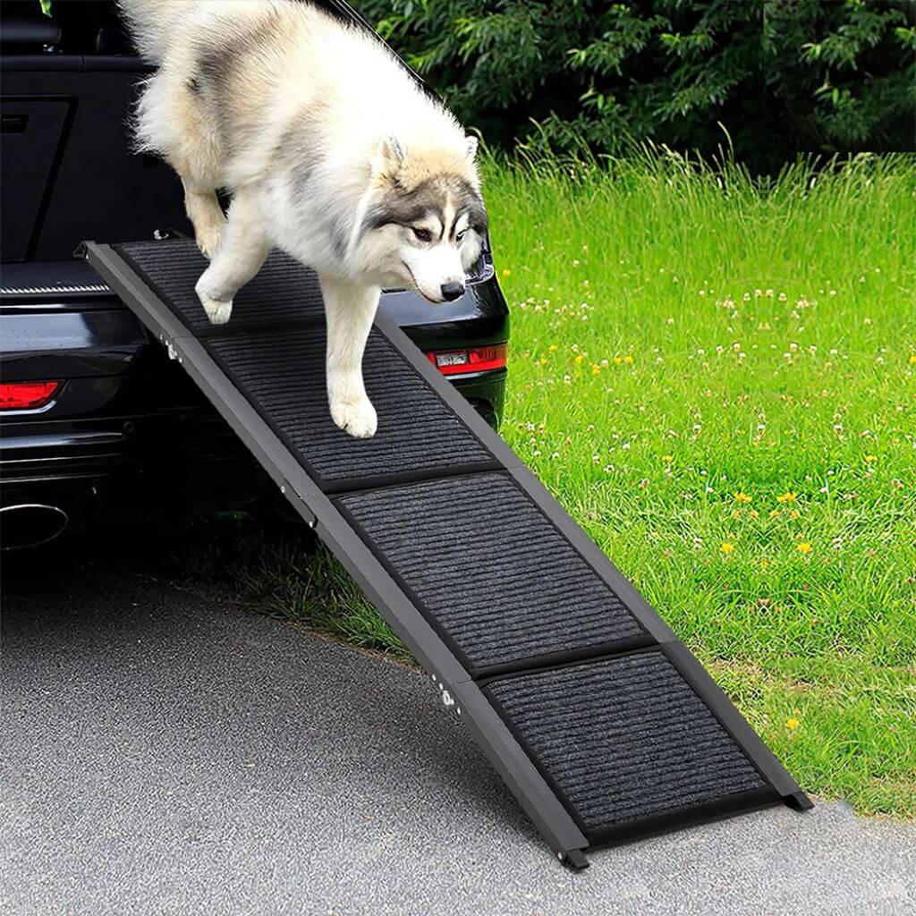 Dog using a black pet ramp to get into a car on a grassy area.