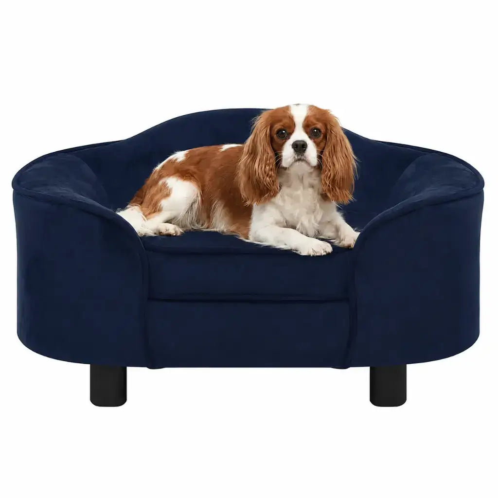 Dog lying on a navy blue pet bed against a white background