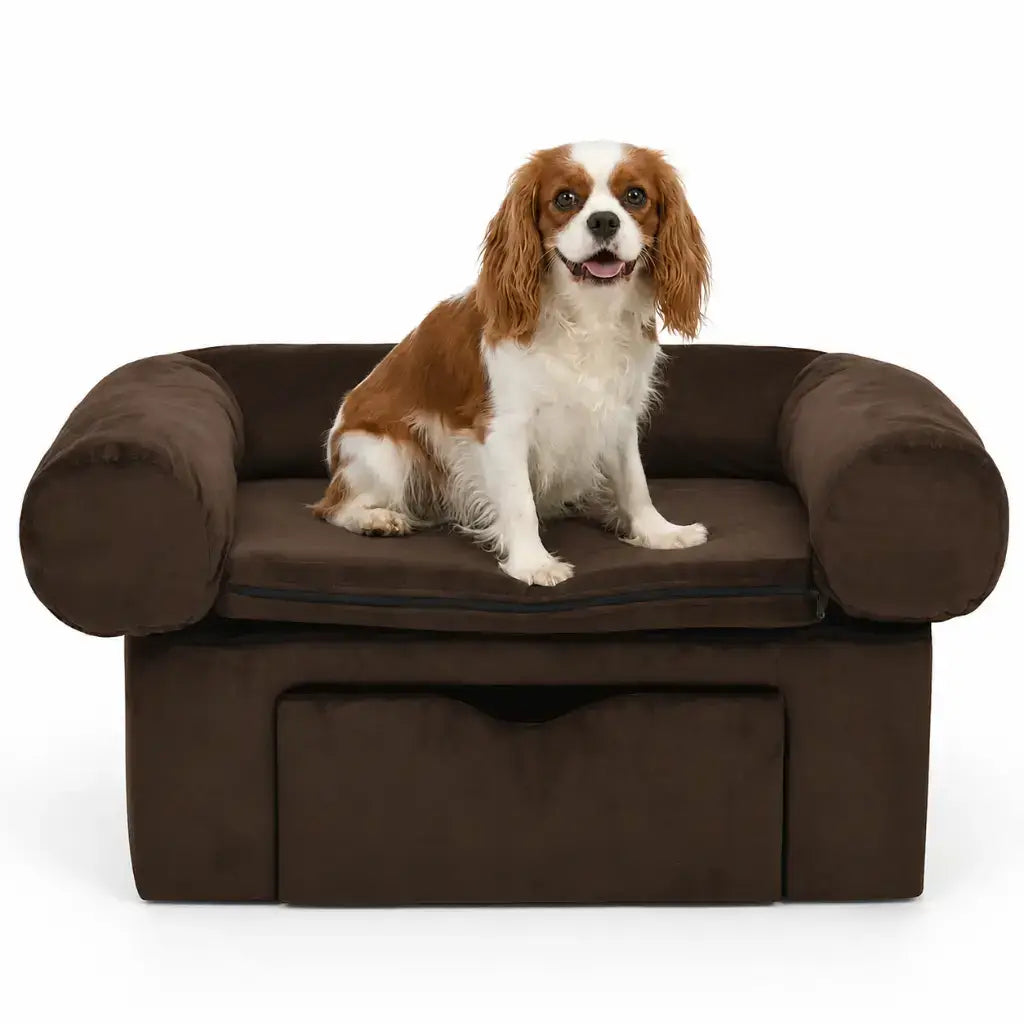 Dog sitting on a brown pet sofa with a white background