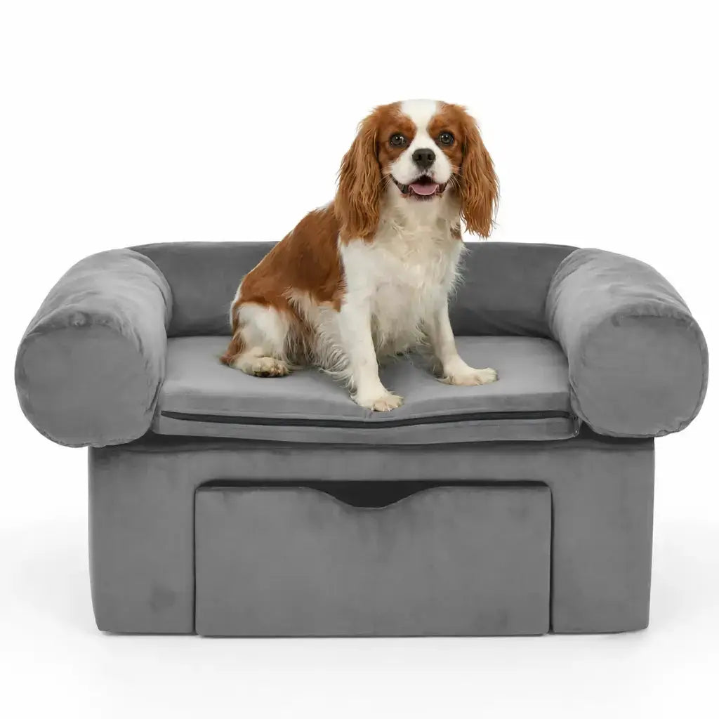 Dog sitting on a grey pet sofa with a white background