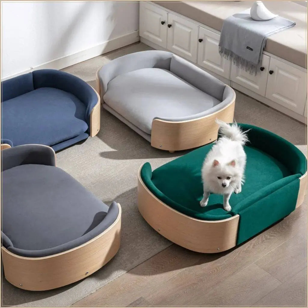 Dog Sofa vs Dog Bed What’s the Difference