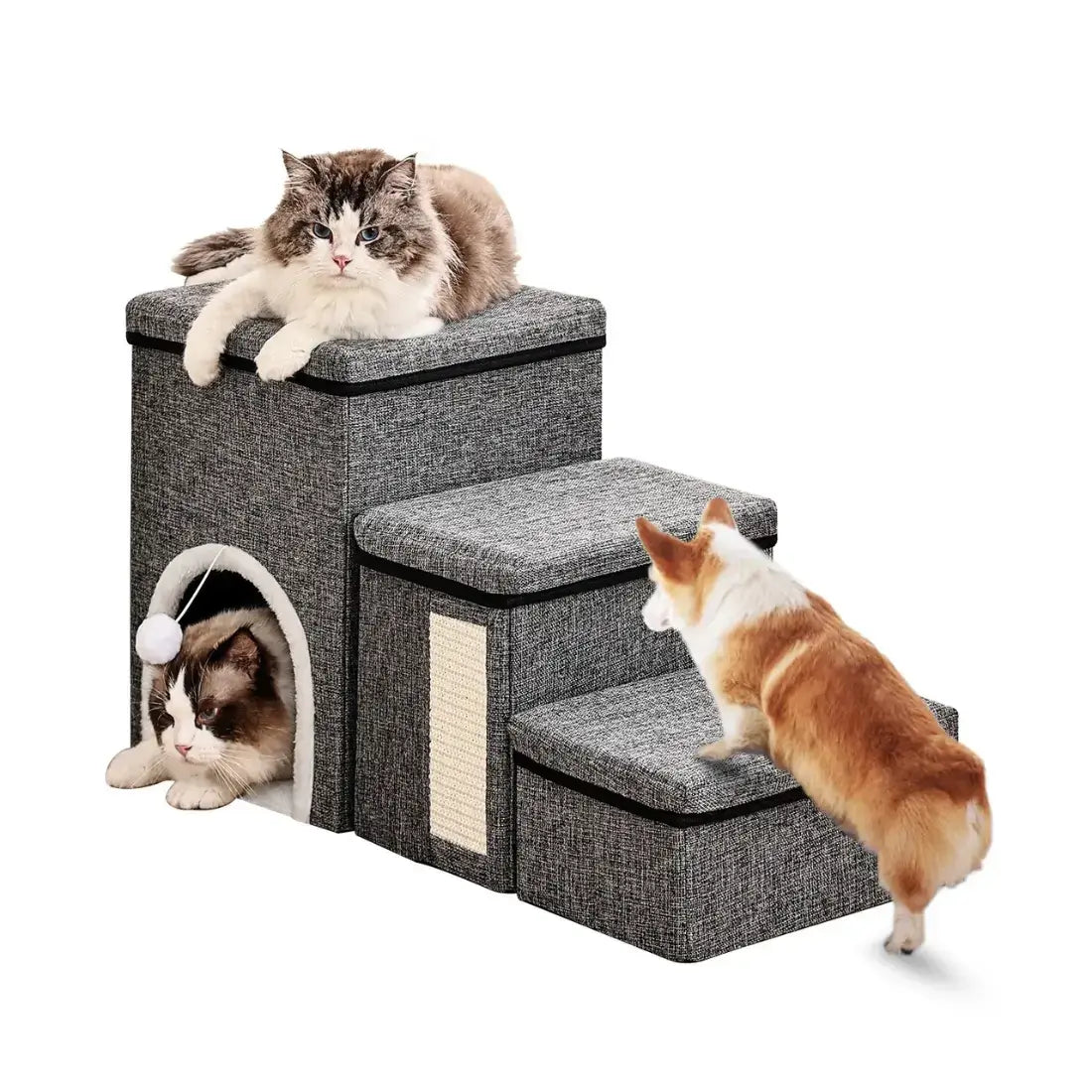 Pet staircase with cats and a dog on a white background