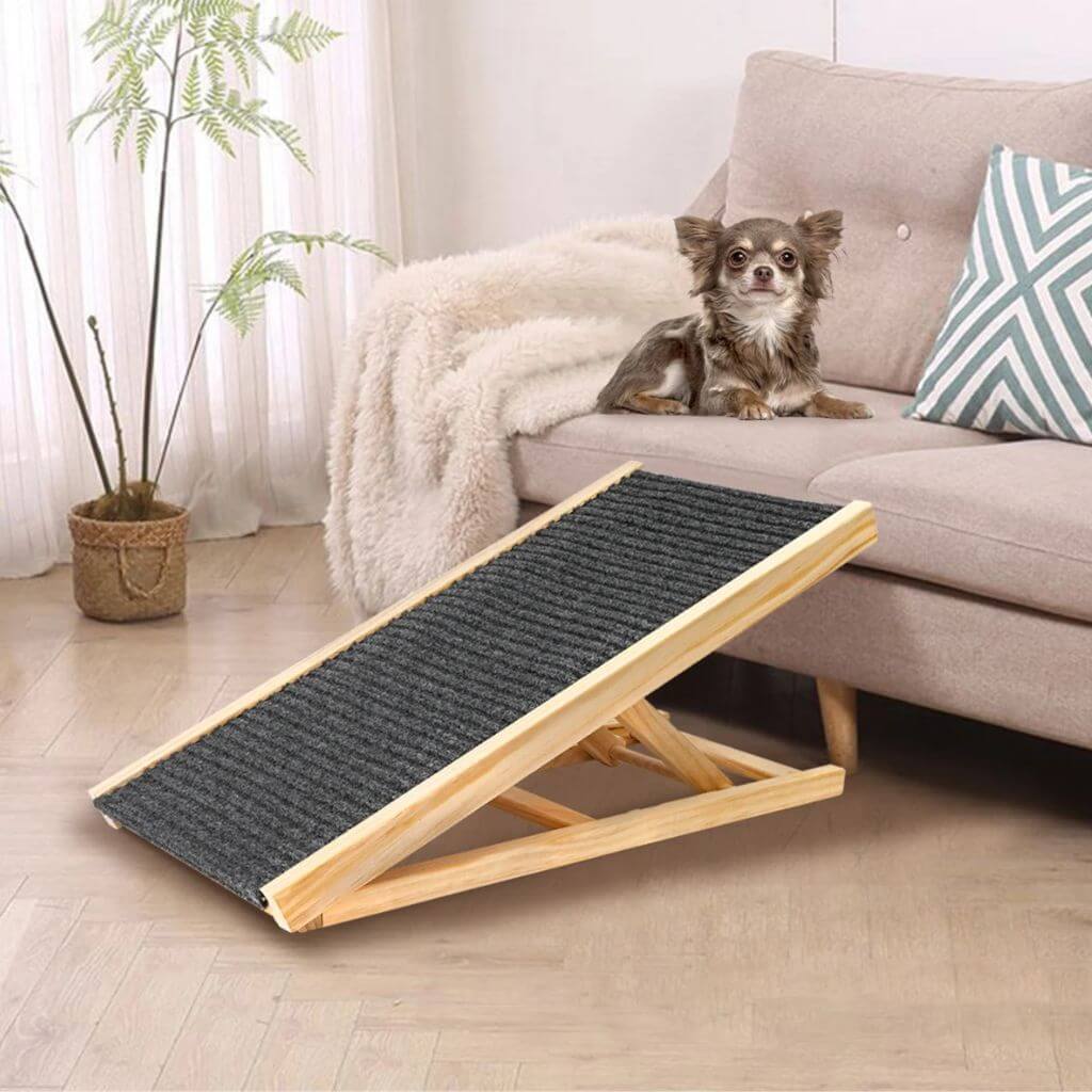 Dog on a couch with a wooden ramp in a living room setting