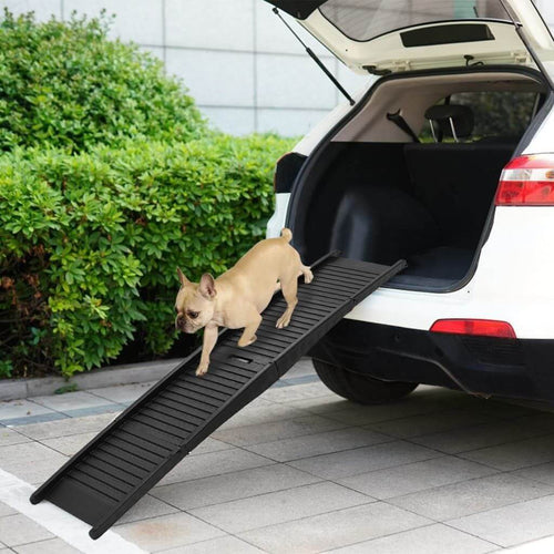 Dog-Ramp-for-Car-dog-walking