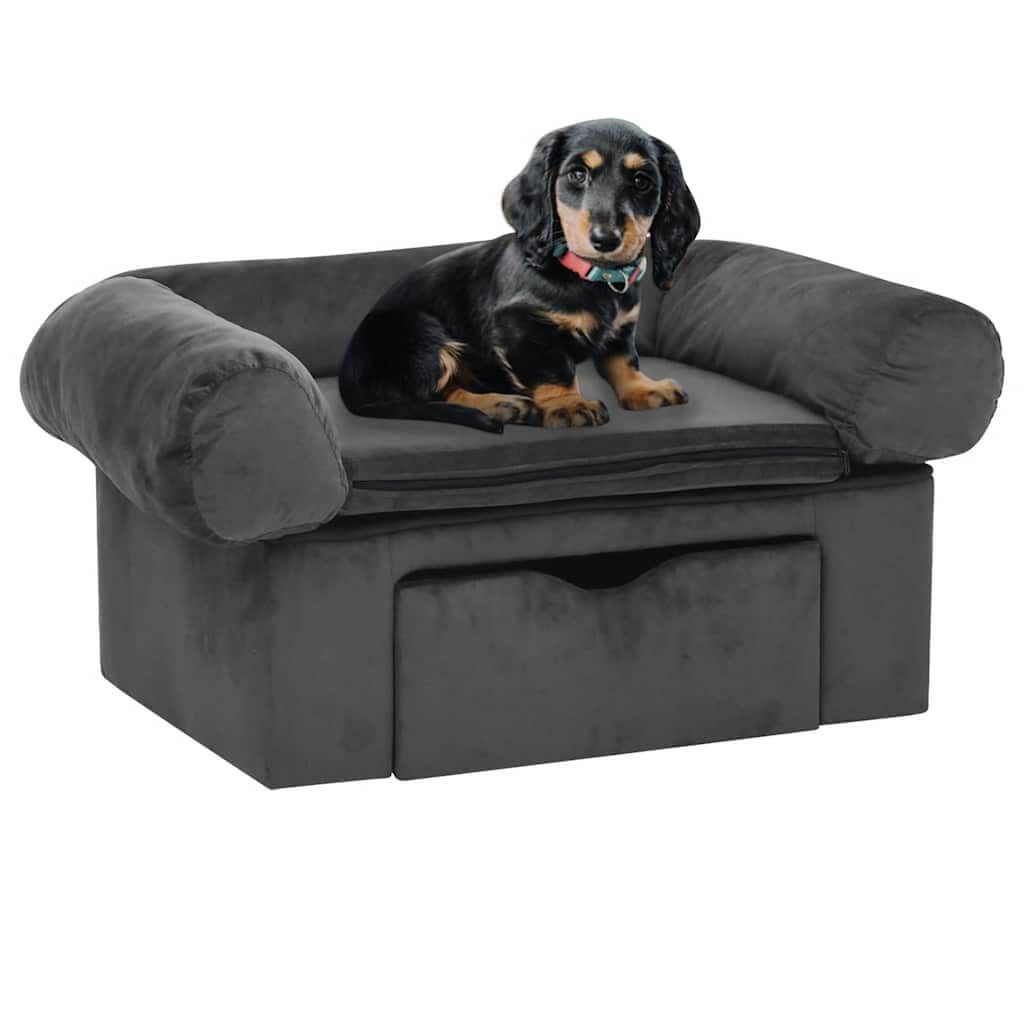 Dog-Sofa-with-Storage in dark grey with small dog on top, modern pet furniture by Domus Canis