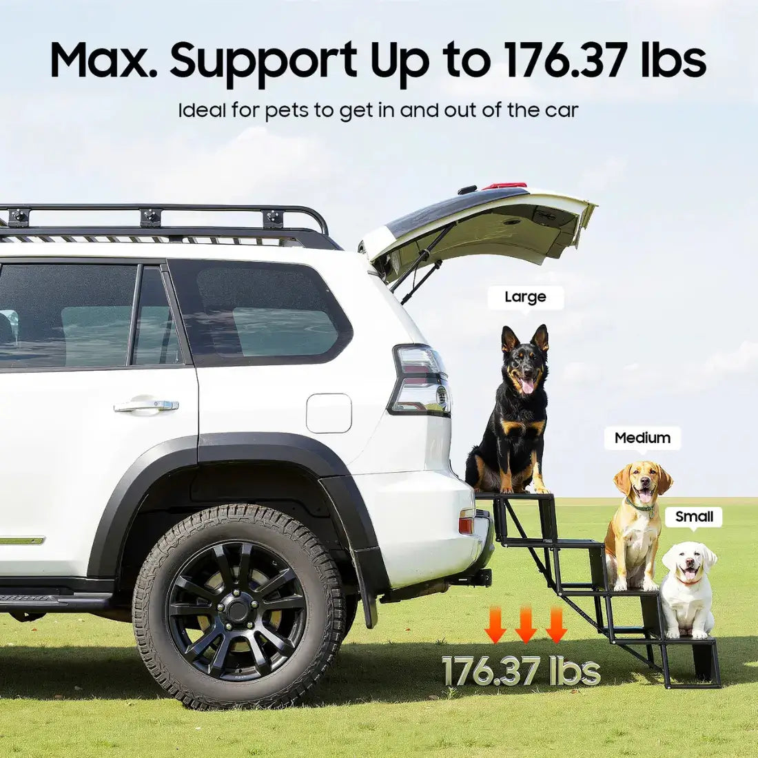 A white SUV with its rear hatch open in a grassy field, showing a black pet cargo ramp and stairs positioned beside the open hatch. Text at the top reads 'Max.
