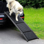 Dog using a black pet ramp to get into a car on a grassy area.