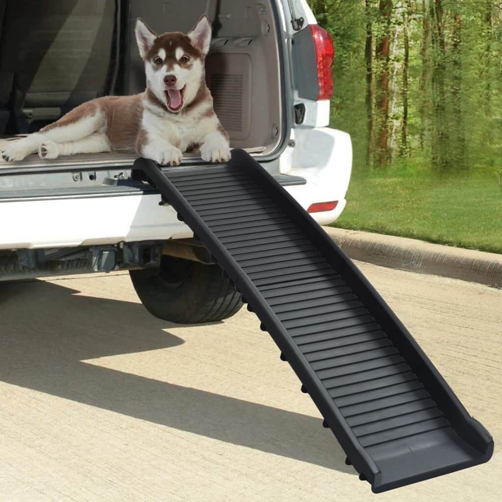Folding-Dog-Ramp-dog-in-car
