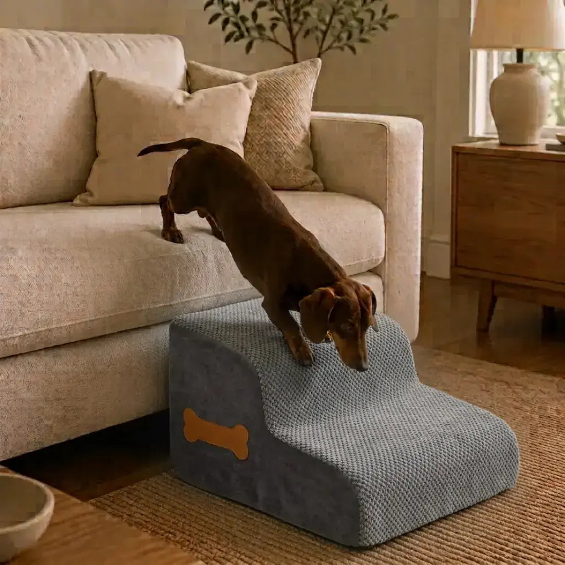 A brown dachshund stands on a two-step pet ramp in a cozy living room next to a beige sofa. The ramp is covered in a textured blue-gray fabric with a small tan bone-shaped accent on the side.