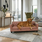 Dog lying on a leathaire large dog sofa bed in a modern living room.