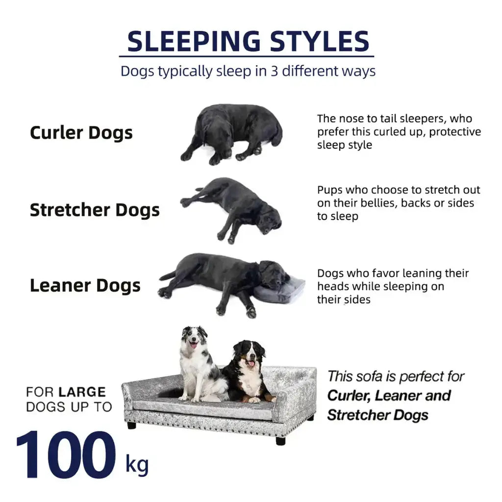 Diagram showing different sleeping styles of dogs with corresponding illustrations and text.
