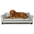 Dog lying on a large gray dog sofa with a white background