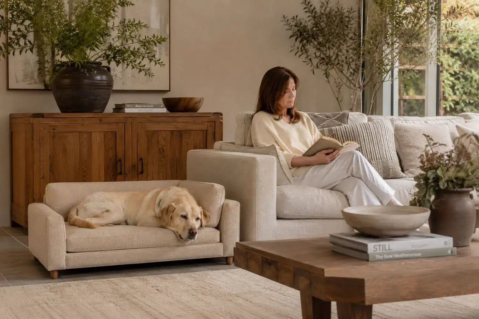 A dog on a dog sofa and a Woman reading a book on a couch in a cozy living room.