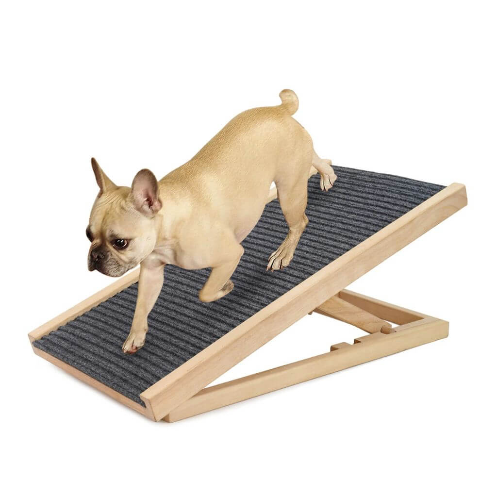 Dog using a wooden ramp with a textured surface on a white background