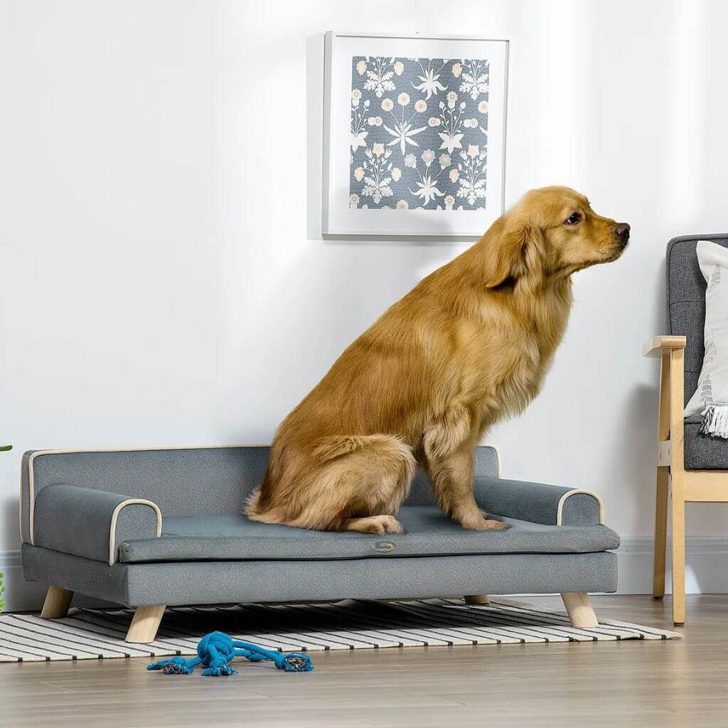 dog-sofa-modern