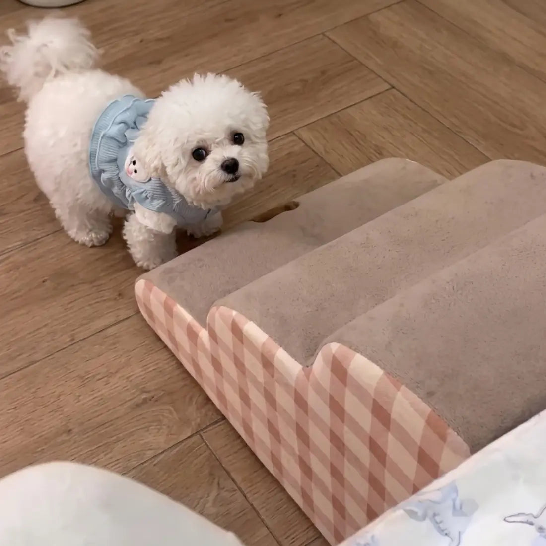 video-High-Density-Foam-Dog-Stairs