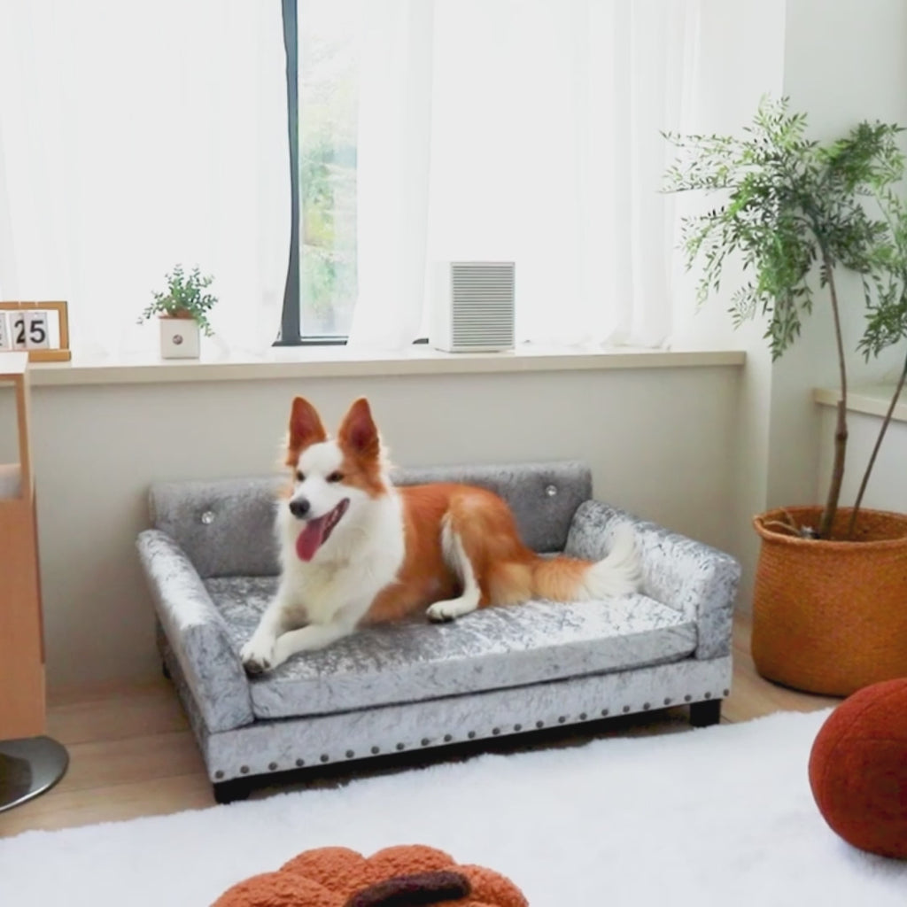 Video Velvet Large Dog Sofa