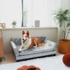Video Velvet Large Dog Sofa