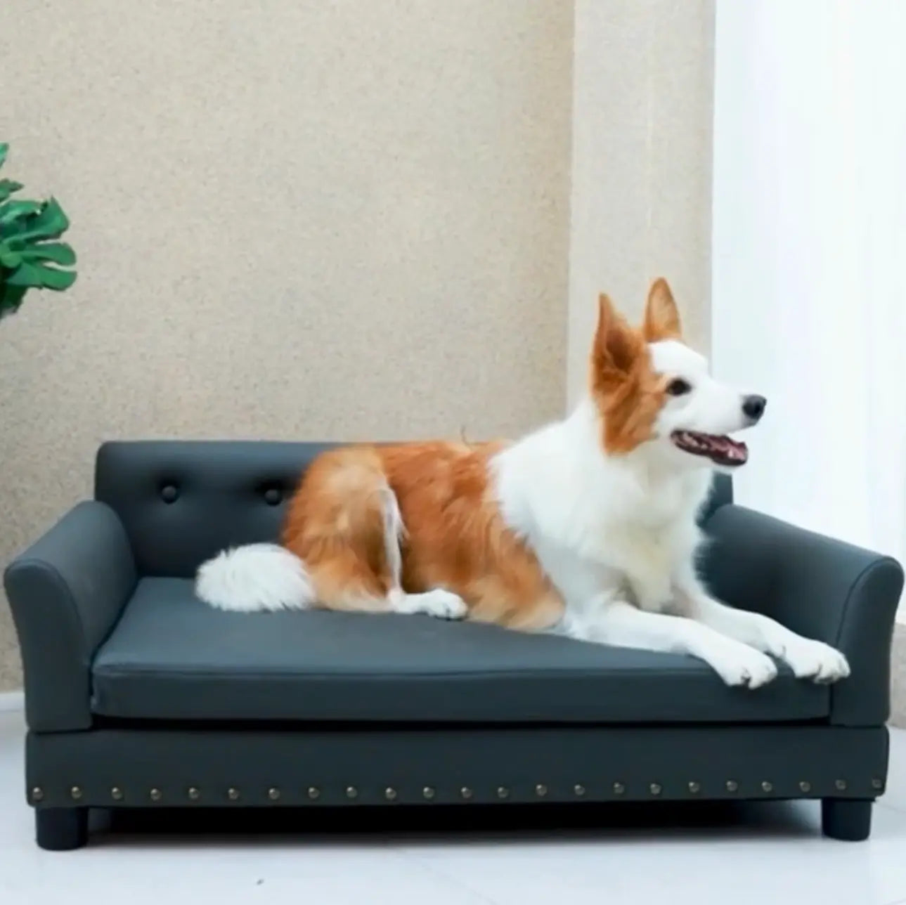 Video Microfiber Leather Dog Sofa