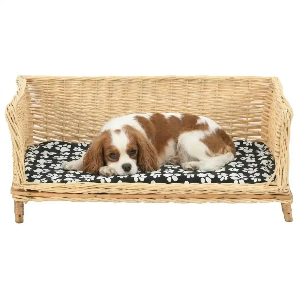 Dog lying on a wicker dog sofa bed with a floral cushion