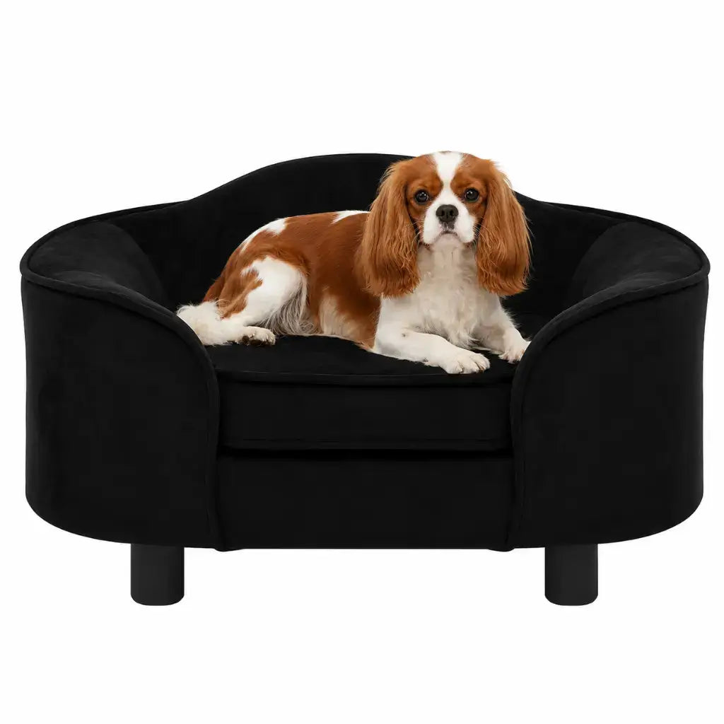 Dog lying on a black pet bed with a white background