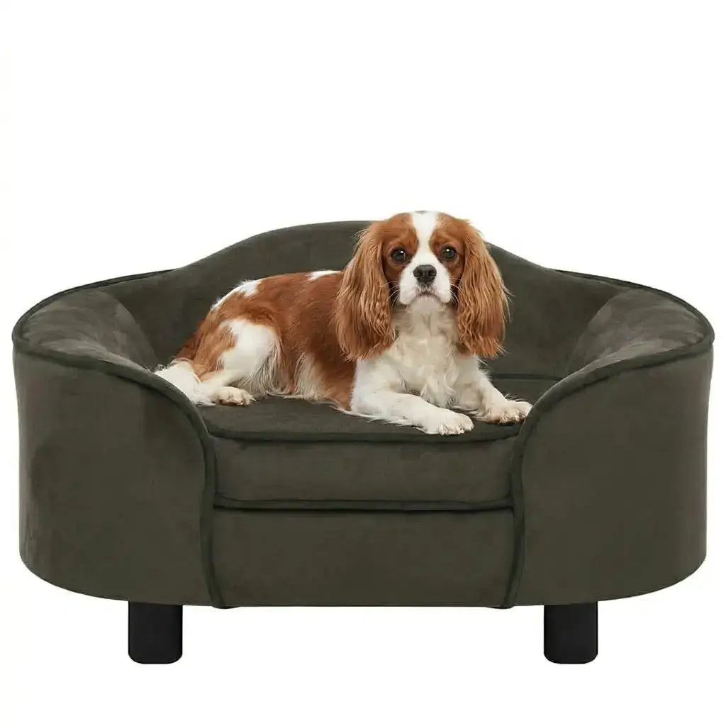 Dog lying on a dark grey dog sofa bed with a white background