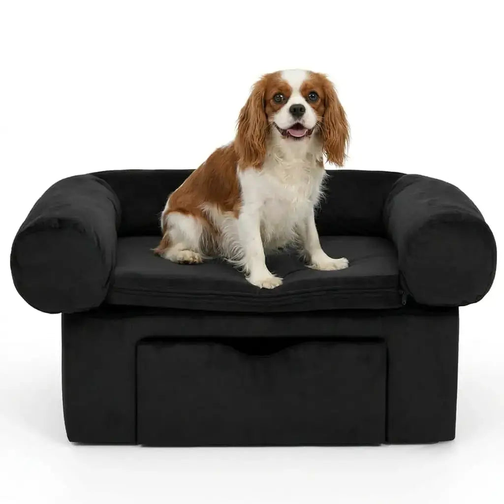 Dog sitting on a black pet sofa with a white background