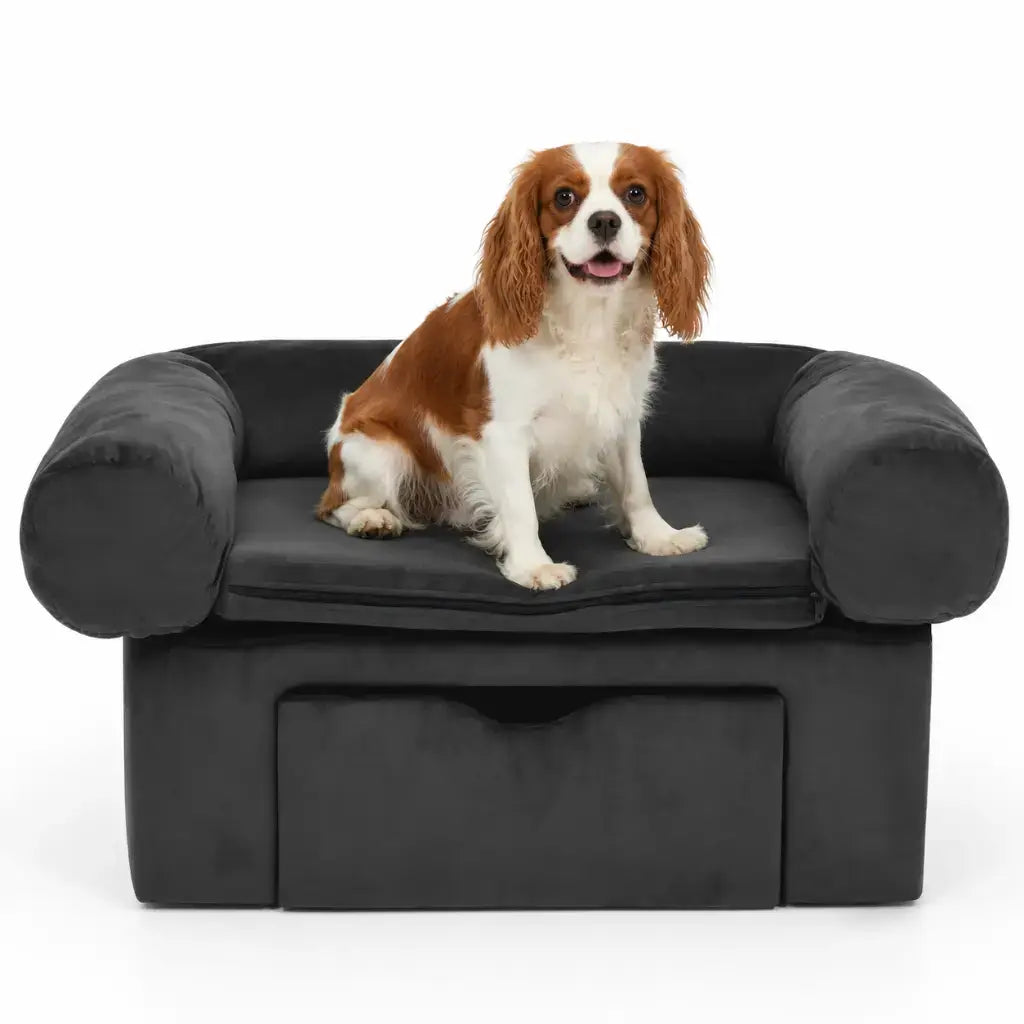 Dog sitting on a dark grey pet sofa with a white background
