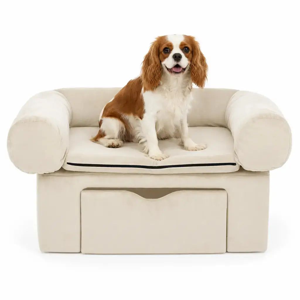 Dog sitting on a white pet sofa with a white background