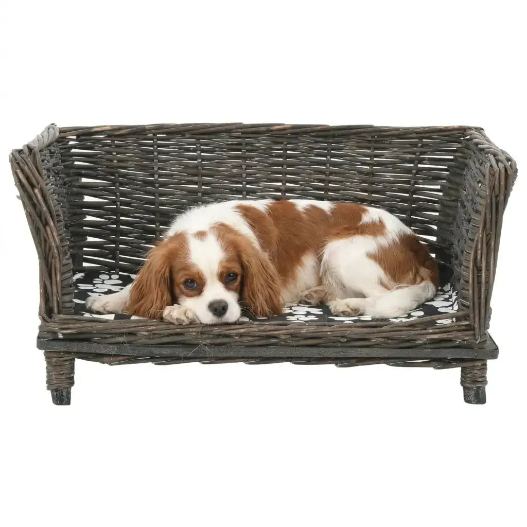 Dog lying on a wicker dog sofa bed with a white background